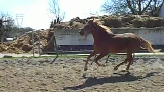 Kaïzer en piste