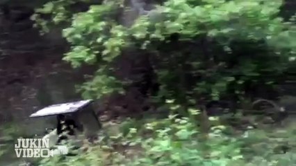 Golf Cart Hill Climb Fail