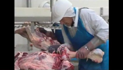 Entrée du personnel - "Teaser"