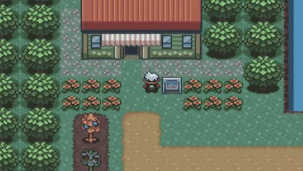 Pokemon Émeraude 03) Roxane et ses pierres !