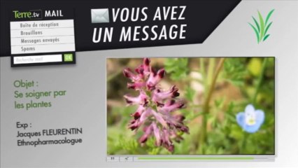 Soigner par les plantes, avec Jacques Fleurentin