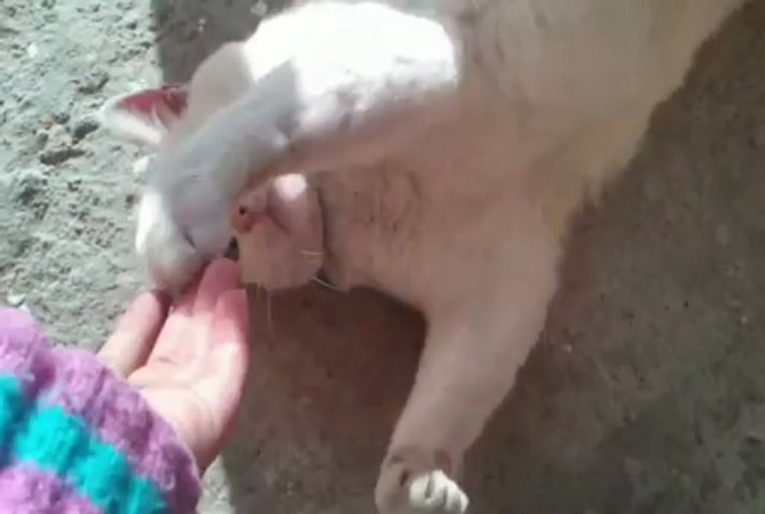 Molestando A Luna. Luna Es Una Diva