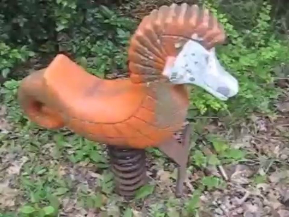 Terrestrial Seahorsey in Hawley