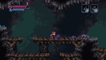 Play or Pass? - Chasm - PC/Mac/Linux