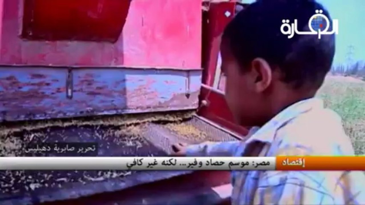 مصر: موسم حصاد وفير... لكنه غير كافي