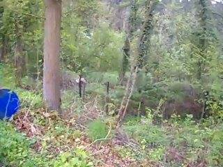 Petit tour du bois