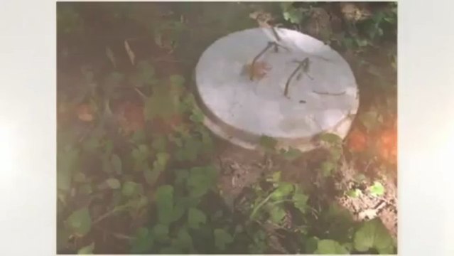 William H Green Construction & Asphalt LLC (804) 443-2646