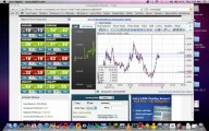 The Forex Training Guide