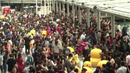 Un canard de bain géant s'installe dans le port de Hong Kong