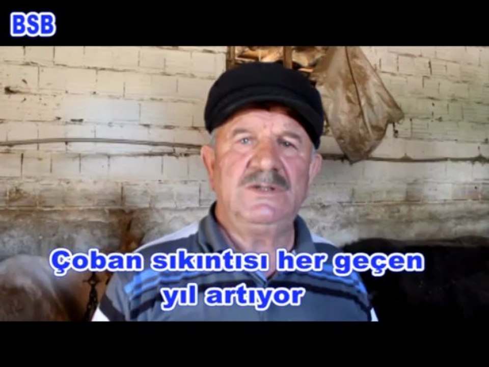Çoban sıkıntısı her geçen yıl artıyor