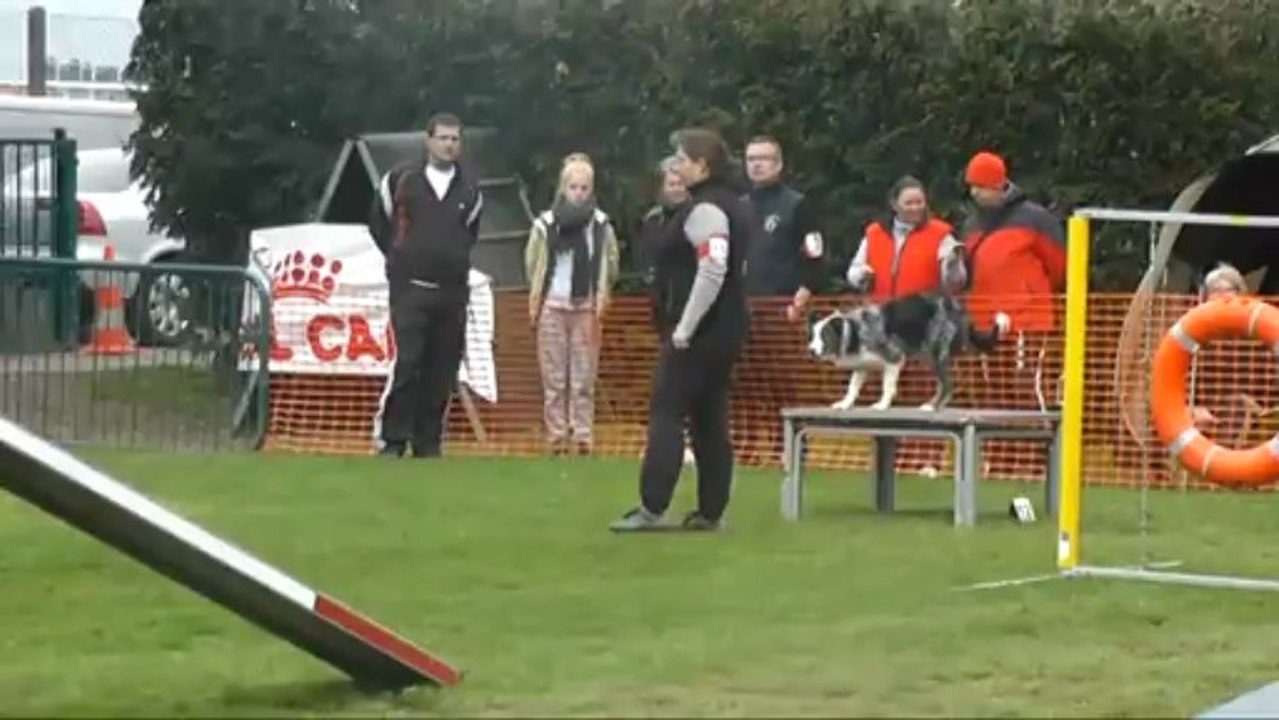 Dixie sélectif GPF manche 1 Agility