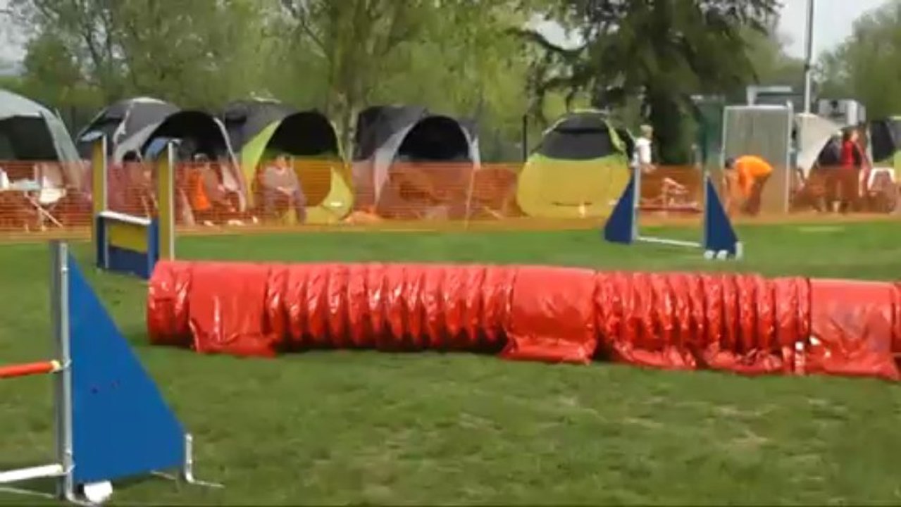 Dixie sélectif GPF manche 2 Jumping