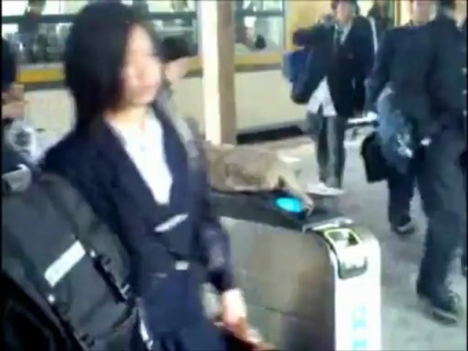 駅ネコ