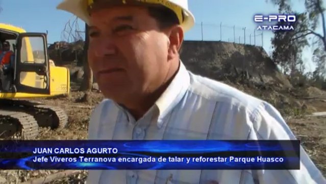 PARQUE HUASCO Y SU REMODELACION NOTA EXPLICATIVA 2 REFERENTE A LA TALA DE LOS ARBOLES E INFORMACION DE EL EUCALIPTUS