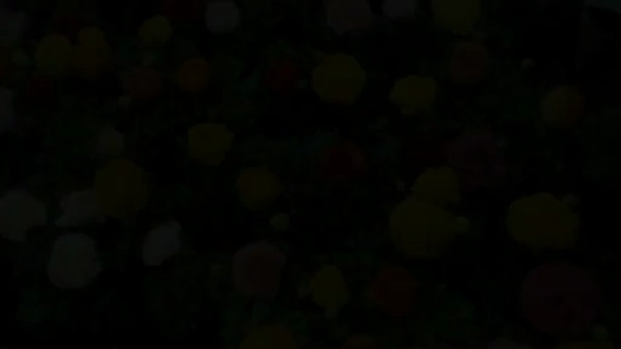 La Praririale 2013 à la Ferme du Manet à Montigny-le-Bretonneux les 27 et 28 avril 2013