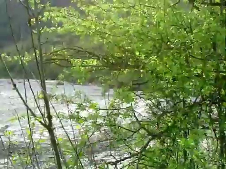 CLIP0052