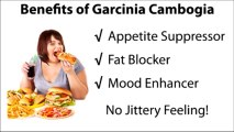 Garcinia Cambogia Hunger Suppressor, Fat Inhibitor and Mood Enhancer