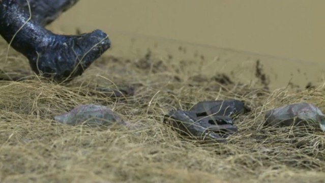 ملجأ مضاد للاسلحة النووية يتحول الى متحف للفن المعاصر