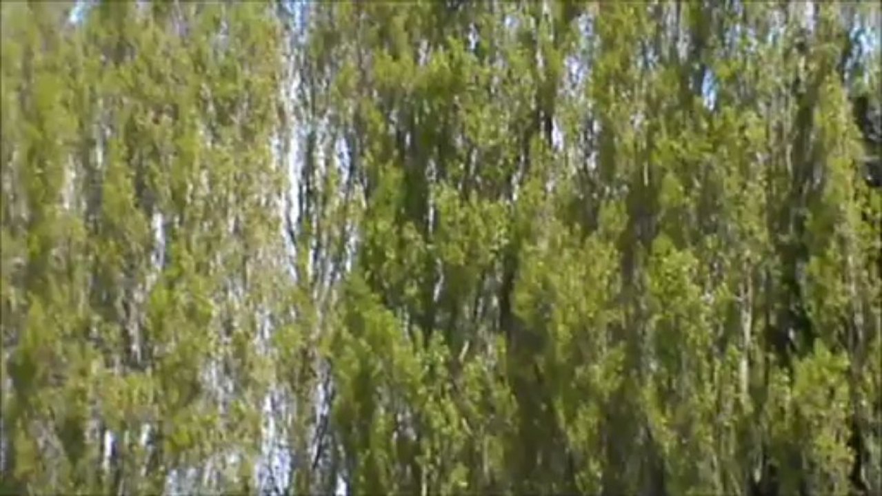 Reprise Emilien Topic