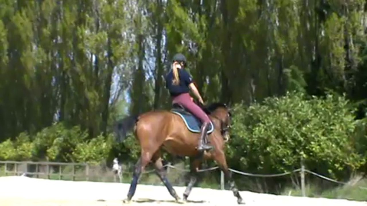 Reprise Lucile Suenio