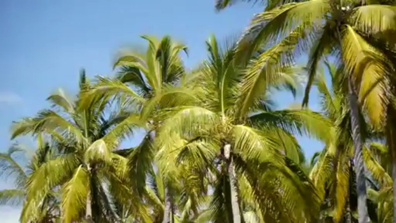 Médérice - Nout l'ile