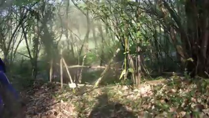 rando des rosiers sur loire le 28 avril 2013