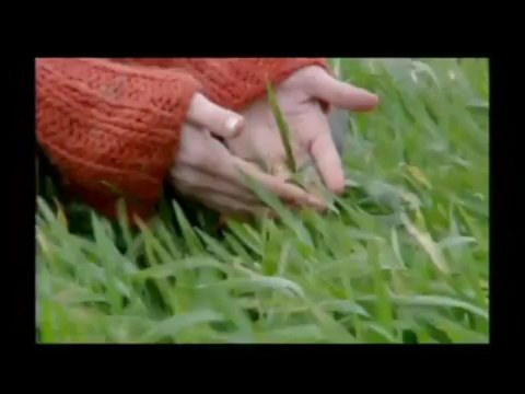 Ogün Sanlısoy - Saydım