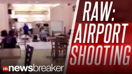 RAW: Eyewitness Video Shows Aftermath Of Houston Airport Shooting