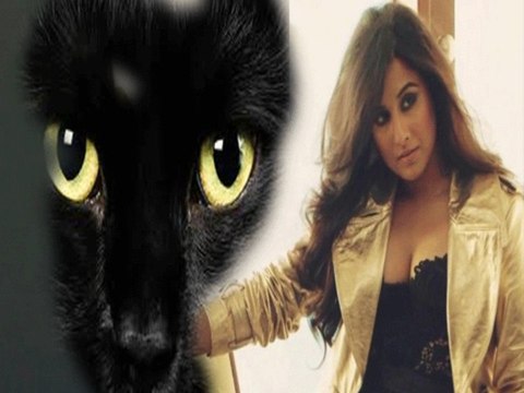 Vidya Balans Cat Phobia