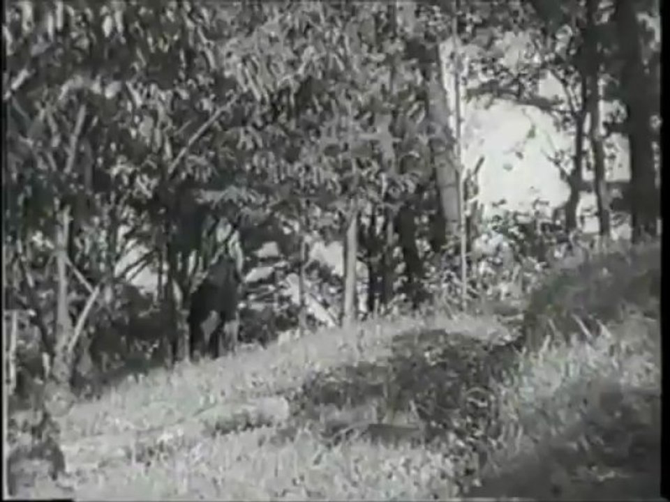 りんごの唄