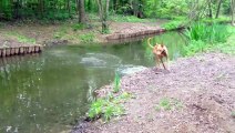 Aitch se met à l'eau au Bois de Vincennes