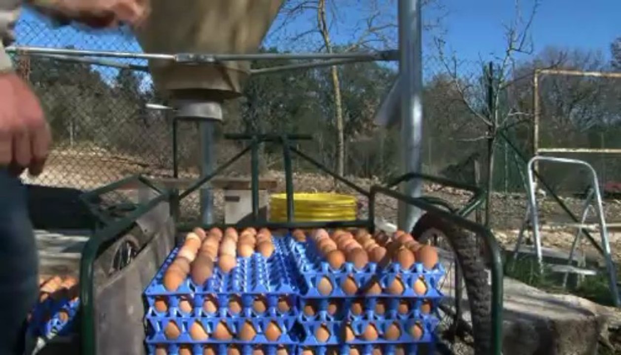 Johan Perrin, éleveur de volailles bio à Quissac (Gard)