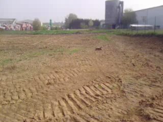 kyosho inferno neo 59540 le 03/05/2013