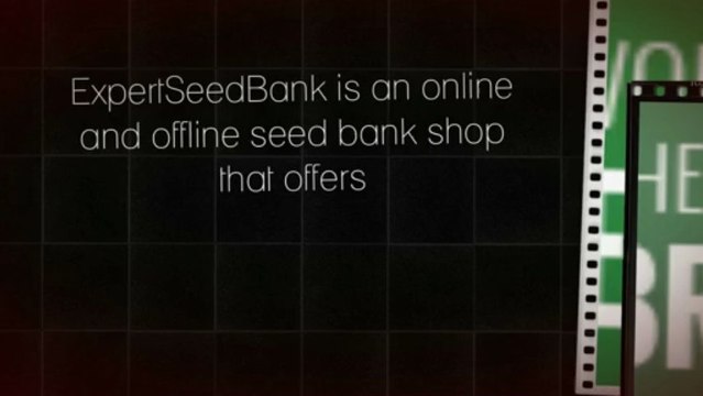 Expert Seed Bank - Feminised Seeds