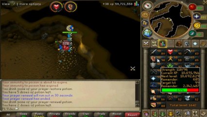 The Pure Experience - HOLY SHlT PROGRESS! & Funny Stories