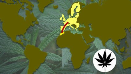 Global drug trafficking