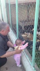 ZEYNEL ABİDİN KIYMAZ BEYZANUR