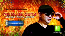 Nicolae Guta - Langa tine-s fericit HIT 2013