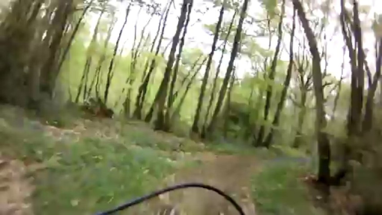 Mini DH Bièvres Guidon