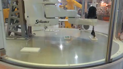 Robots ultra-rapide déplaçant des boites de tic-tac au salon Industrie 2013