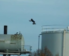 Parkour and Freerunning 2013