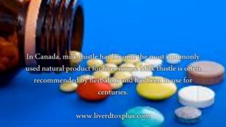 Liver Protection Drug - What Is The Best Liver Protection Drug?