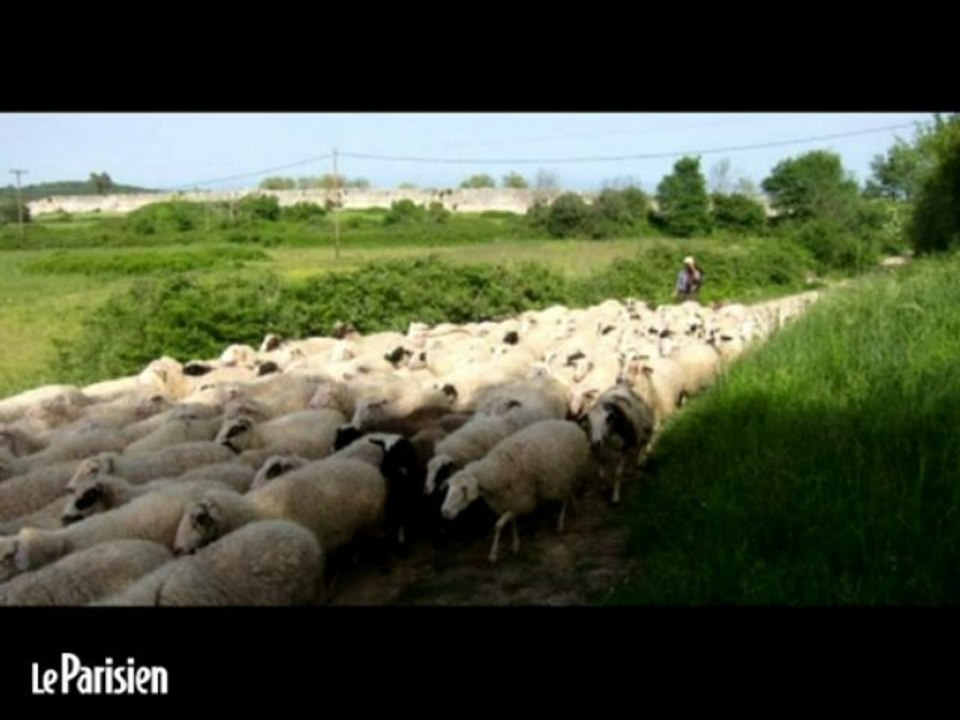 «J'ai découvert une randonneuse mangée par les vautours»