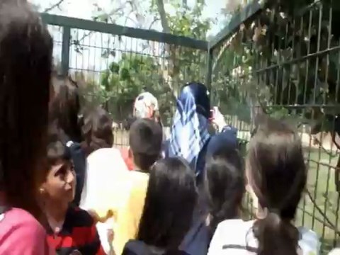 Darıca Hayvanat Bahçesi