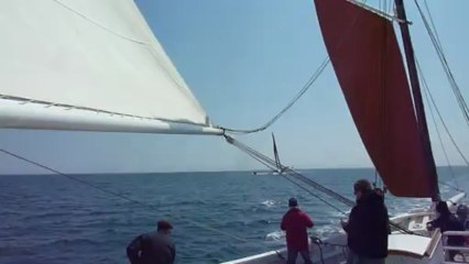 L'ancien & le nouveau Biche vers la Trinité sur Mer 3 mai 2013