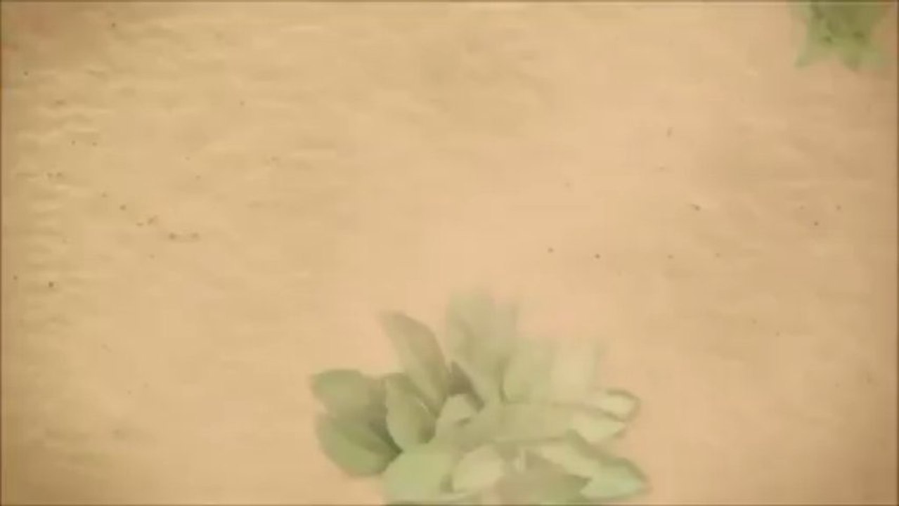 Acai Berry Cleanse Diet Tips