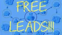 mlm lead lists  | Massive Flow of Leads on Autopilot... FREE