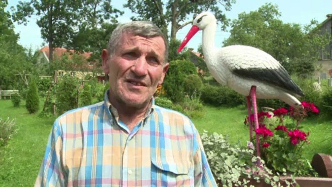 Polnisches Dorf ist Storchen-Paradies