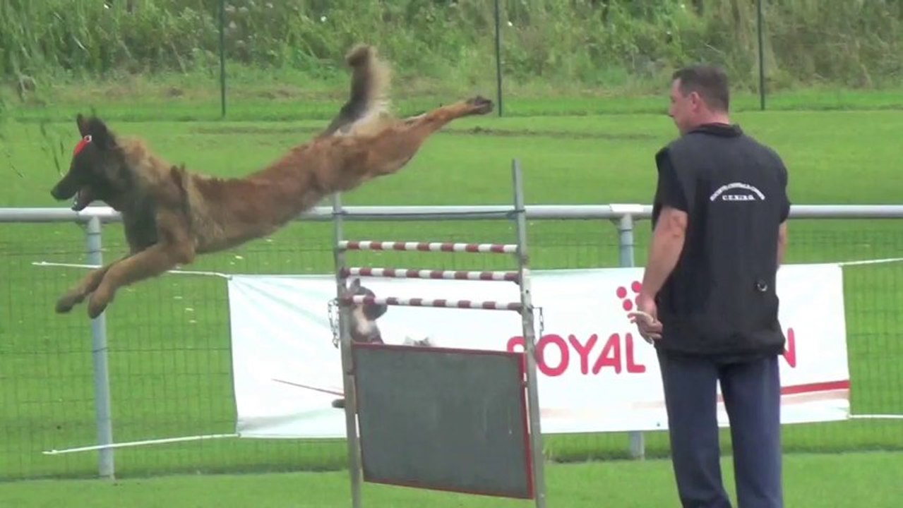 H'Air Max le 27_08_13