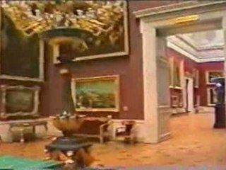 The Hermitage  Museum